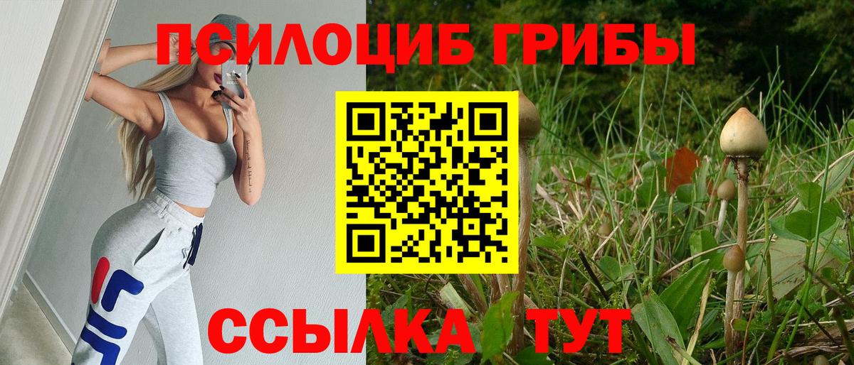 цена   Псилоцибиновые грибы мицелий  Вход с VPN  Тамбов  Галлюциногенные грибы мицелий 